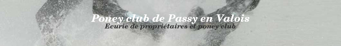 Poney club de Passy en Valois